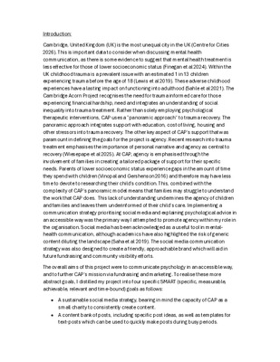 Lia project report: Mental health communication and fundraising strategy for CAP.