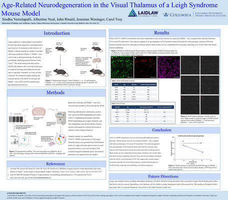 Age-Related Neurodegeneration in the Visual Thalamus of a Leigh Syndrome Mouse Model