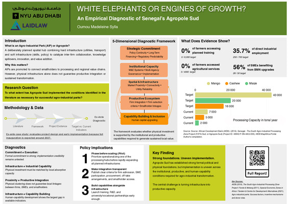 White Elephants or Engines of Growth? An Empirical Diagnostic of Senegal's Agropole Sud