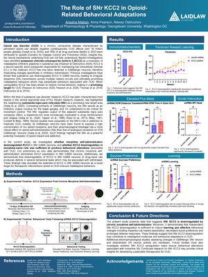 Research Poster: The Role of SNr KCC2 in Opioid-Related Behavioral Adaptations