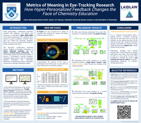 Research Poster: Metrics of Meaning in Eye-Tracking Research
