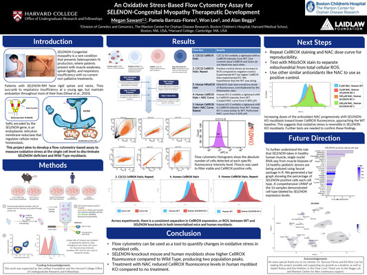 Research Poster, Summer 2026