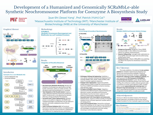 Poster - Development of a Humanized and Genomically SCRaMbLe-able Synthetic Neochromosome Platform for Coenzyme A Biosynthesis Study 