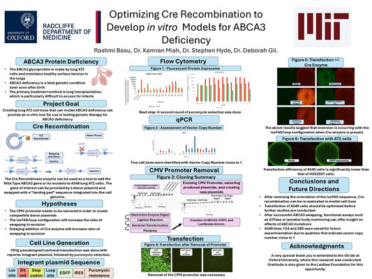 Optimizing Cre Recombination to Develop in vitro Models for ABCA3 Deficiency