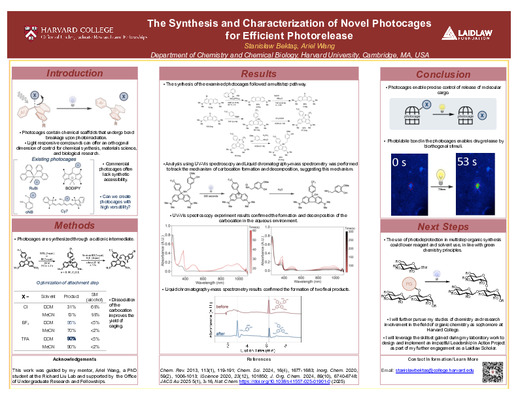 Summer 2026 Research Project Poster: Shedding Light on Photocages