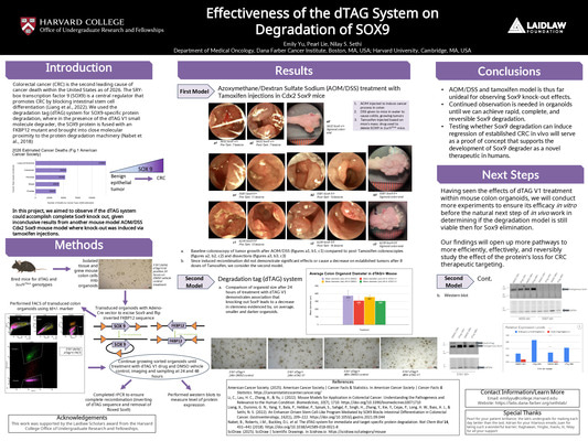 Summer Research 2026 Poster & Abstract