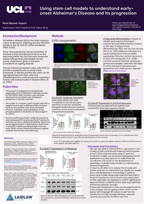 Using stem cell models to understand early-onset Alzheimer’s Disease and its progression - Poster