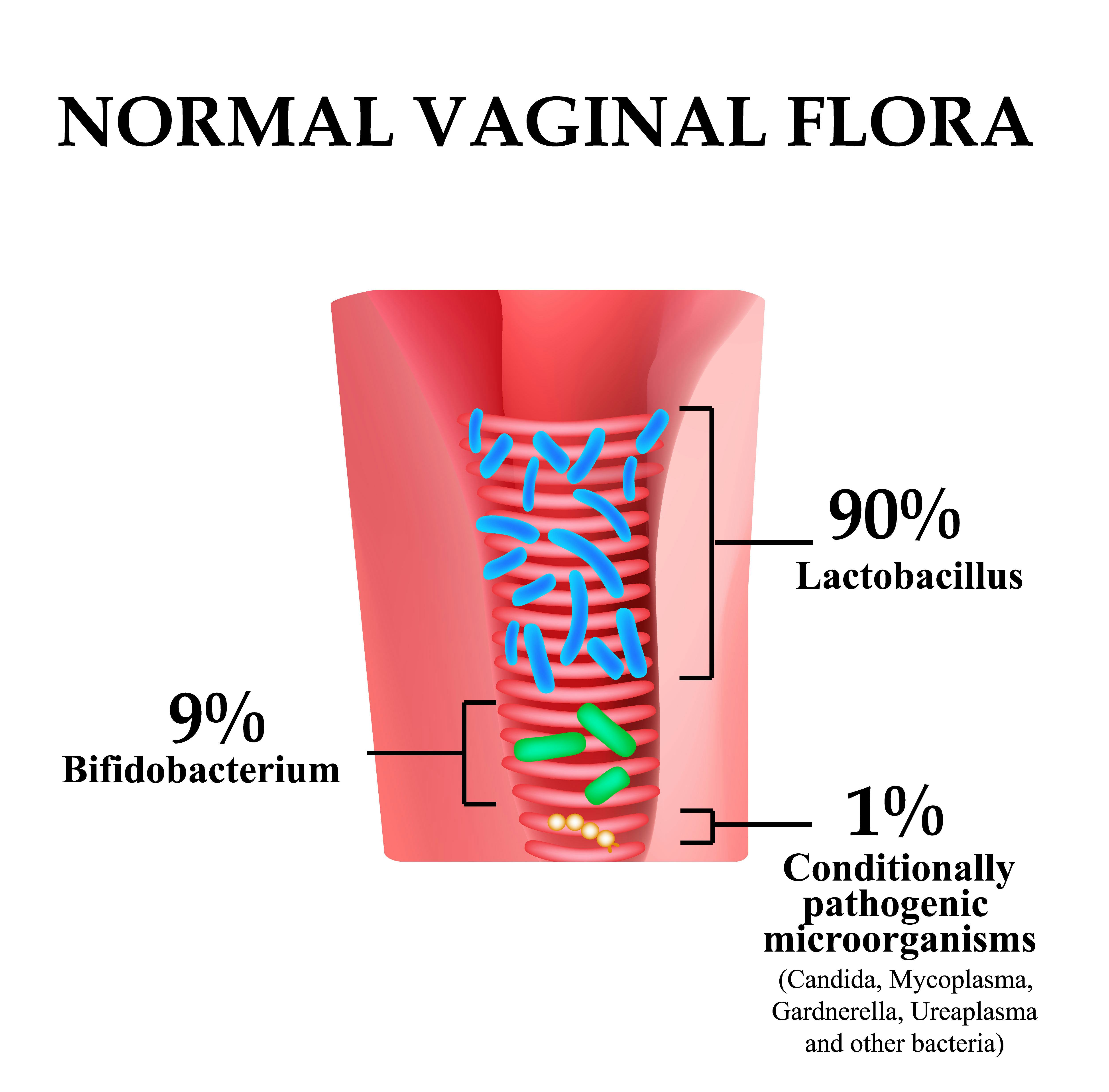 What Is Vaginal Flora? An OB-GYN Explains