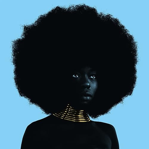 Sink by Sudan Archives on Amazon Music - Amazon.com