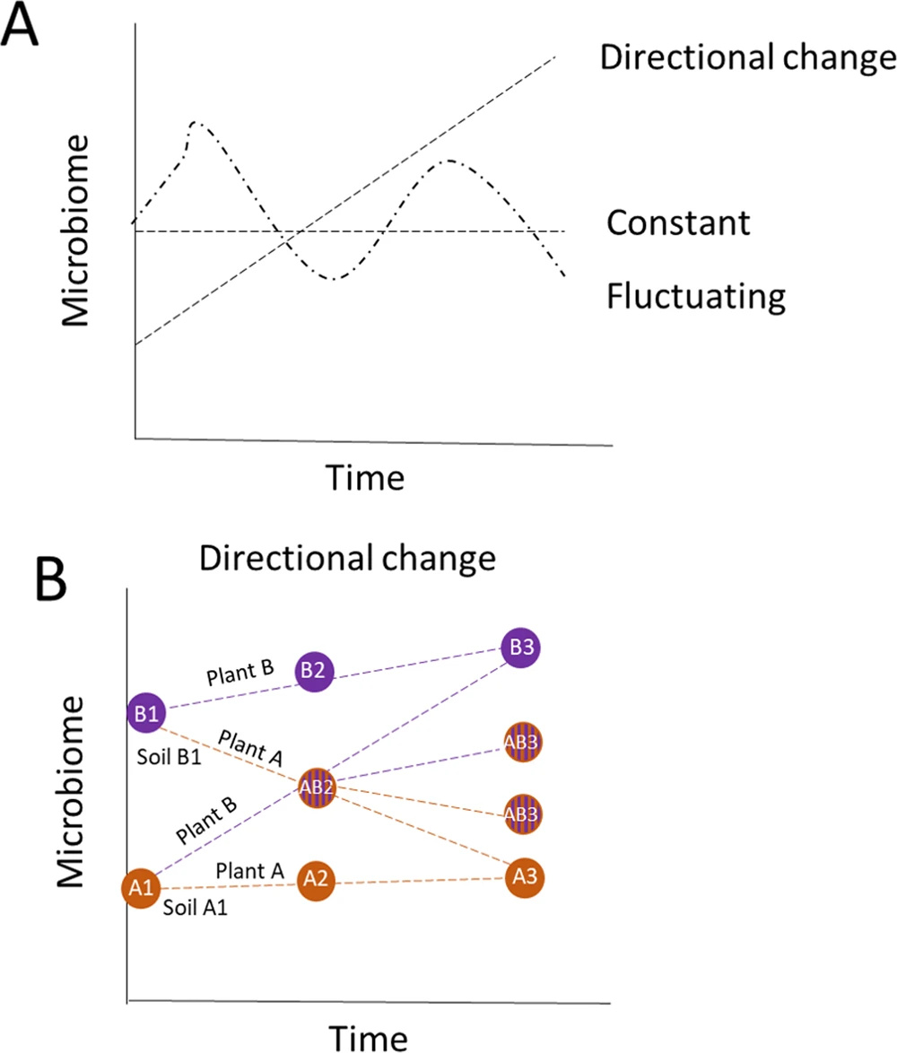 Overview of our main questions asked in the study. Is microbial change in the soil directional, fluctuating, or does the microbiome remain constant, under repeated rounds of conditioning?
