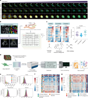 extended data figure 3