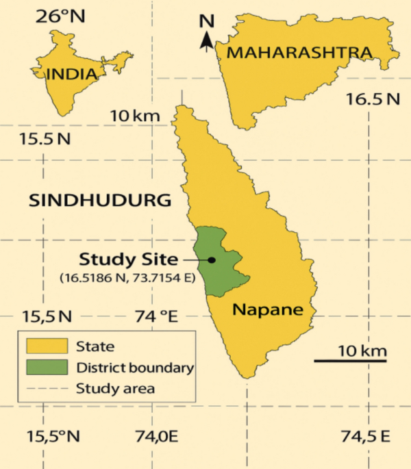 Springer India