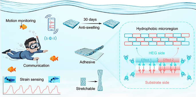 Springer Nature Singapore