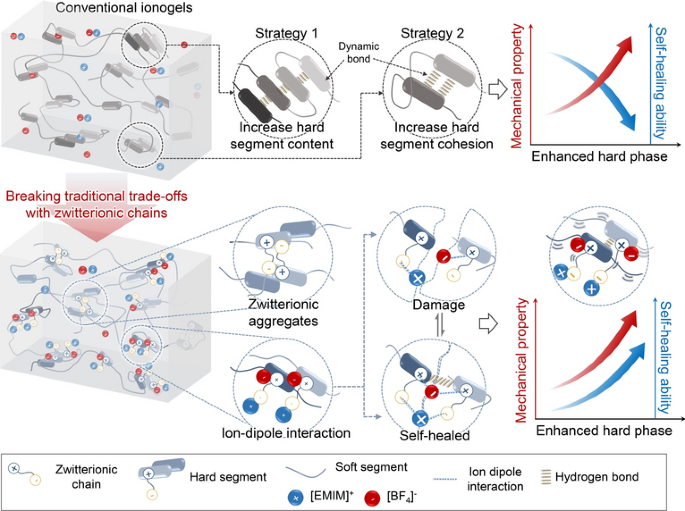Springer Nature Singapore