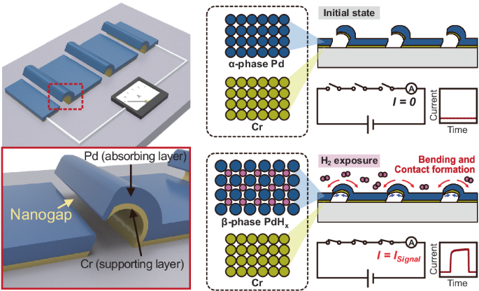 Nature Publishing Group UK