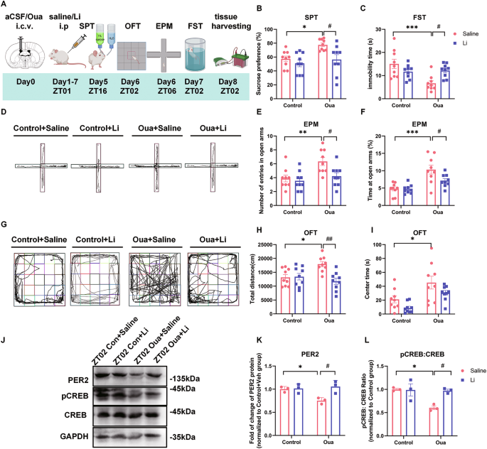 Springer International Publishing