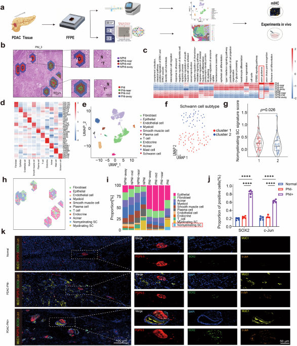 Nature Publishing Group UK