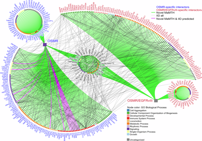 Nature Publishing Group UK
