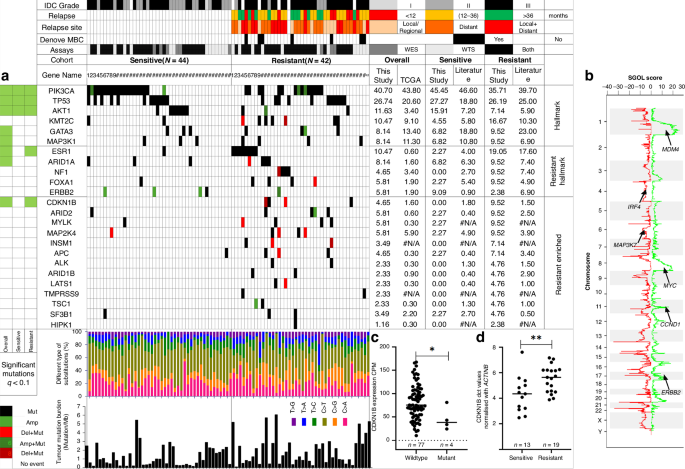 Nature Publishing Group UK