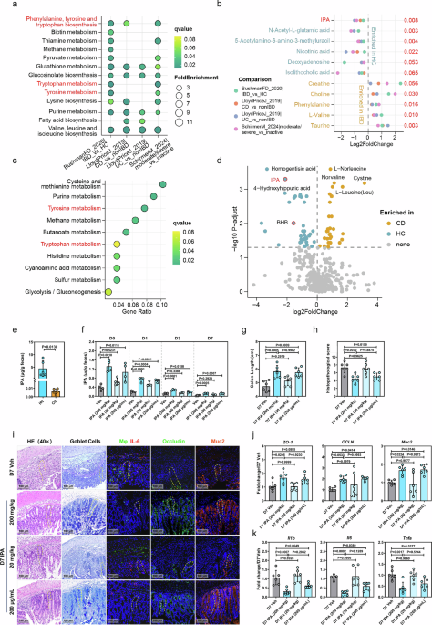 Nature Publishing Group UK