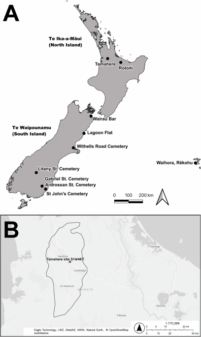 Nature Publishing Group UK