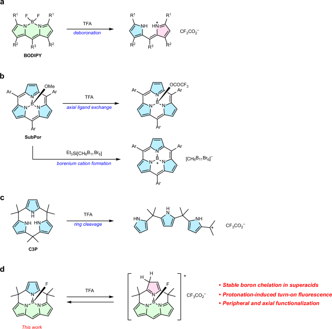 Nature Publishing Group UK