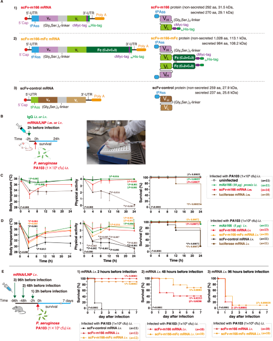 Nature Publishing Group UK