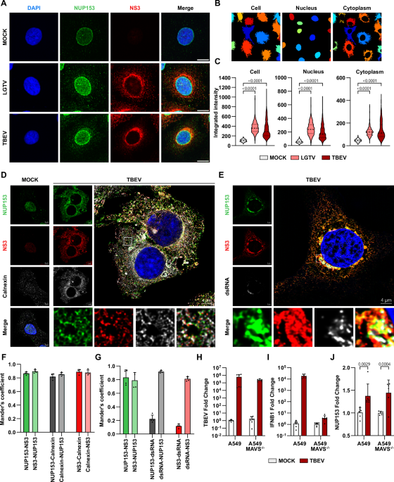 Nature Publishing Group UK