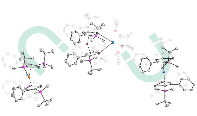 Nature Publishing Group UK