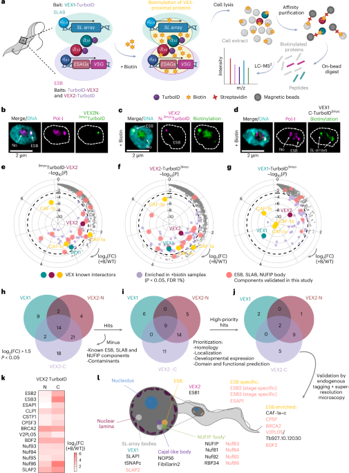 Nature Publishing Group UK