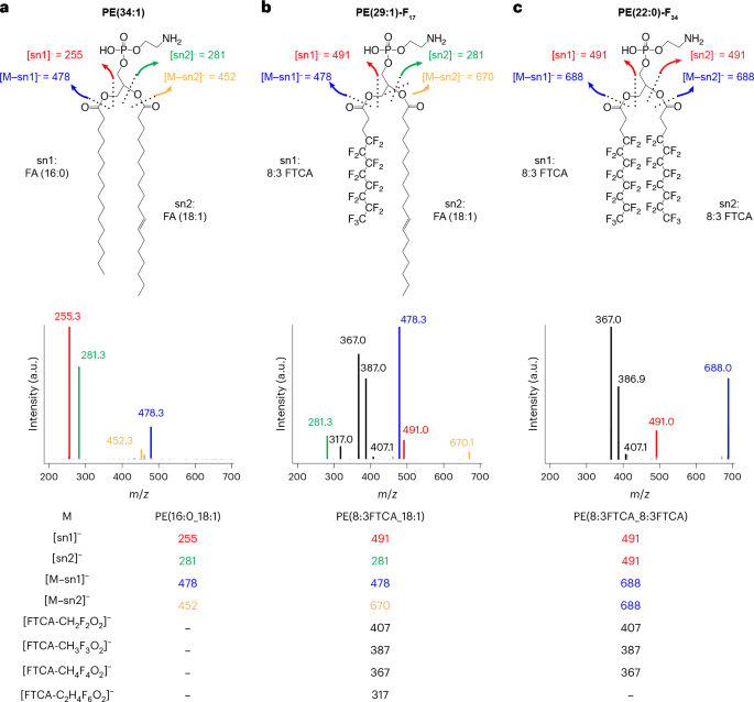 Nature Publishing Group UK