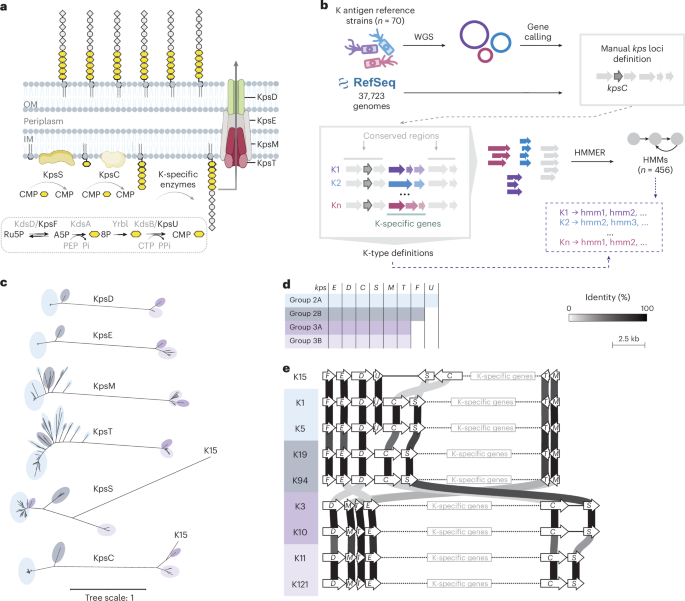 Nature Publishing Group UK