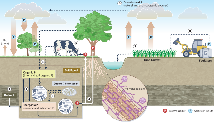 Nature Publishing Group UK
