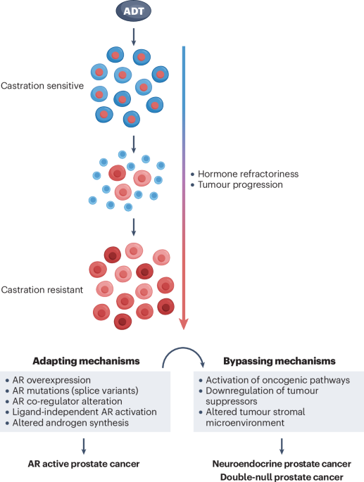 Nature Publishing Group UK
