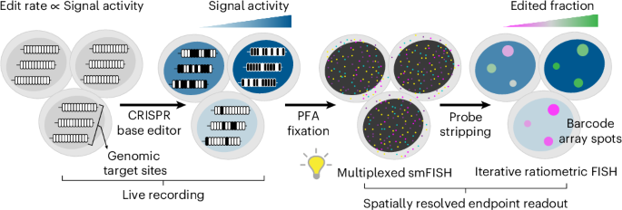Nature Publishing Group US