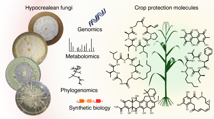 Nature Publishing Group US