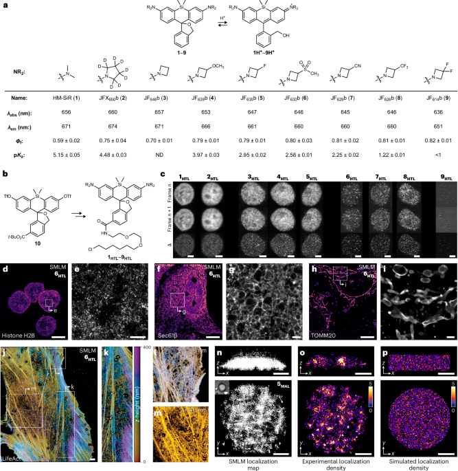 Nature Publishing Group US