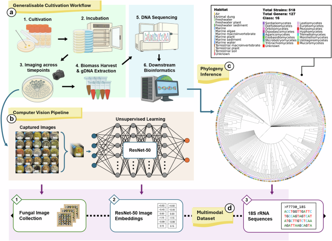 Nature Publishing Group UK