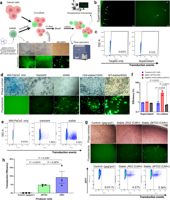 Nature Publishing Group UK