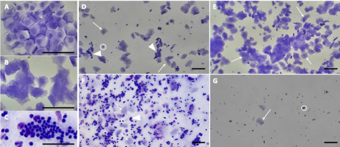 Nature Publishing Group UK