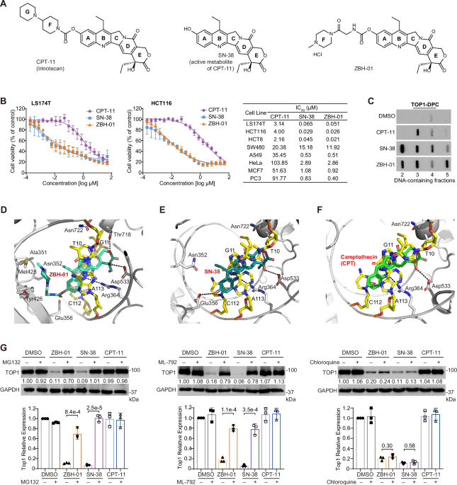 Nature Publishing Group UK