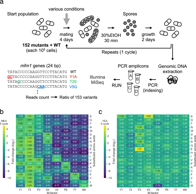 Nature Publishing Group UK