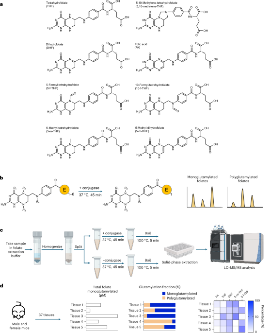 Nature Publishing Group UK