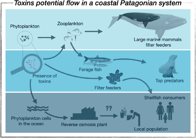 Nature Publishing Group UK