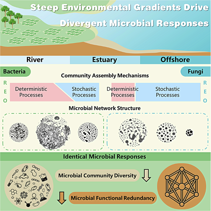 Nature Publishing Group UK