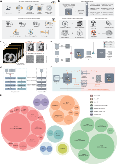 Nature Publishing Group US