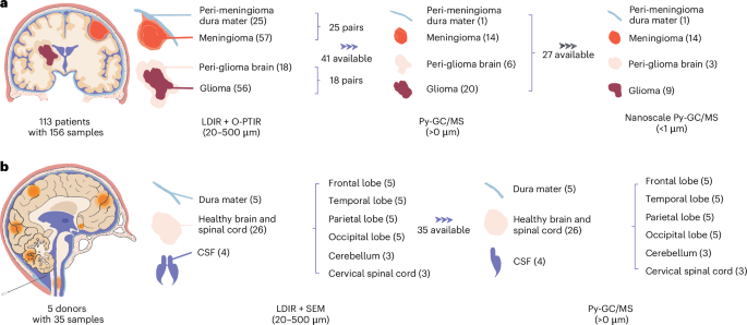 Nature Publishing Group UK