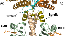 Nature Publishing Group