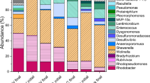 Nature Publishing Group UK