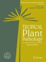 SpringerLink
